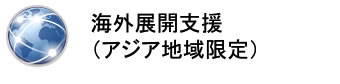 海外展開支援（アジア地域限定）