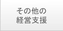 その他の経営支援